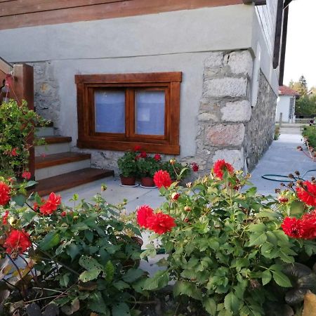 Dana Apartmani Kolašin Zewnętrze zdjęcie