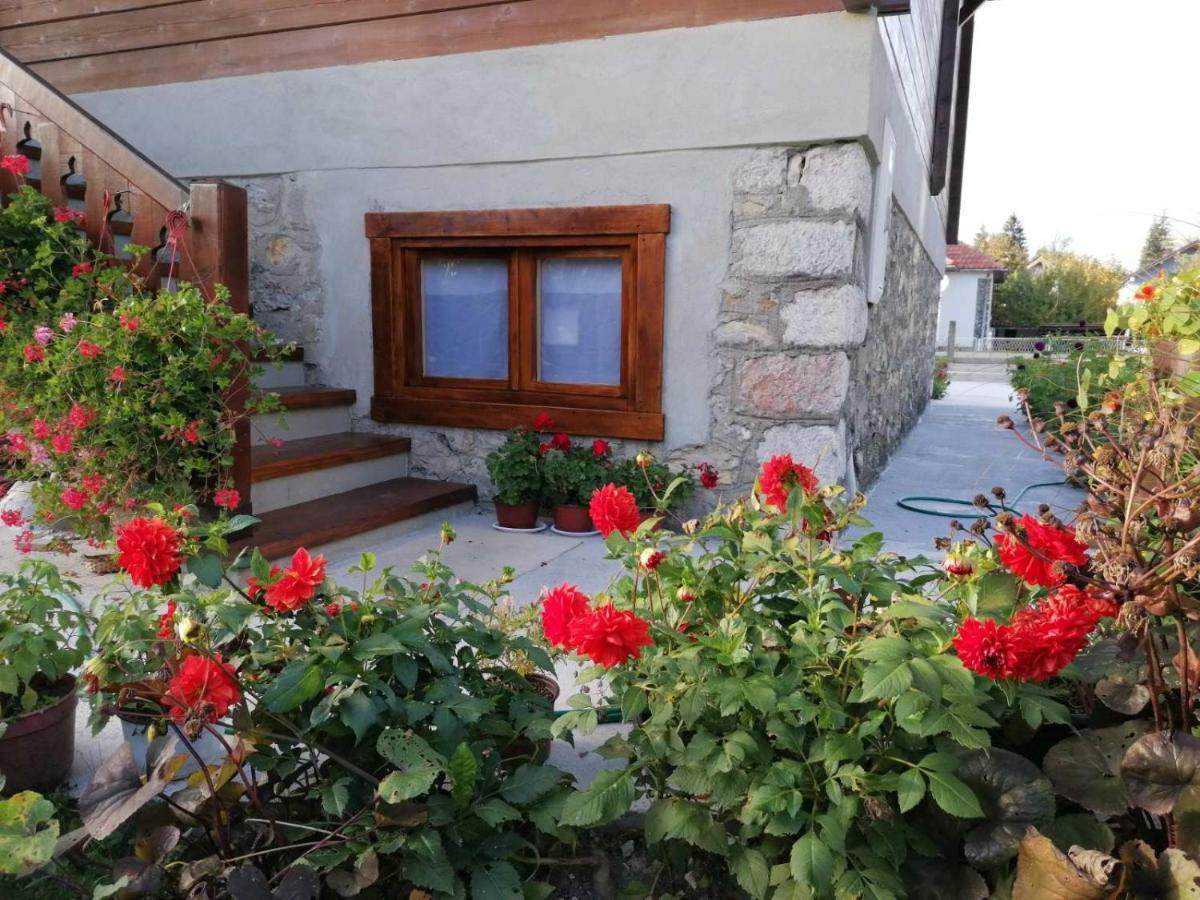 Dana Apartmani Kolašin Zewnętrze zdjęcie